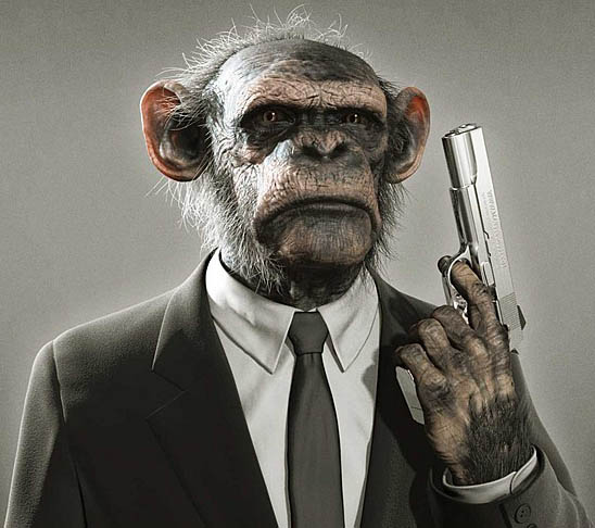 Chimp fires a hand gun.
