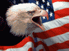 Eagle and waving American flag